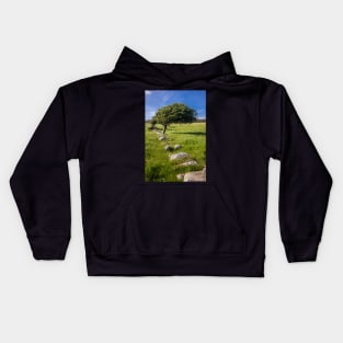 Tree and Remains of Wall near Sandyhills Dumfries and Galloway Photograph Kids Hoodie